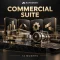 Autodesk COMMERCIAL SUITE — 12 MONTHS