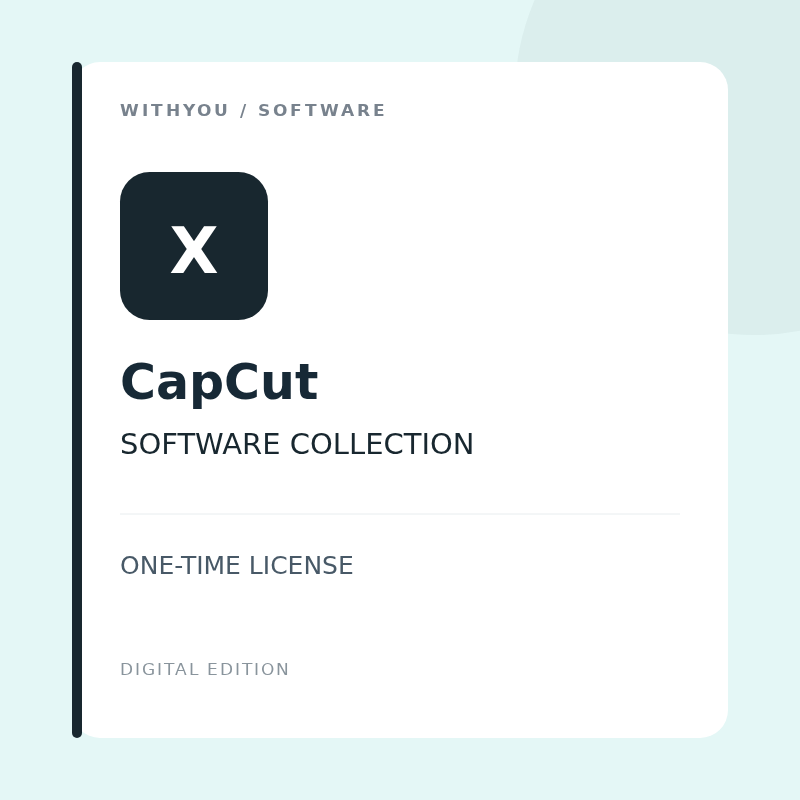 category capcut — 数字软件