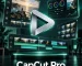 Capcut